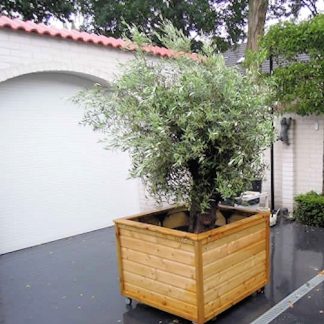 Grote vierkante plantenbak 10010095