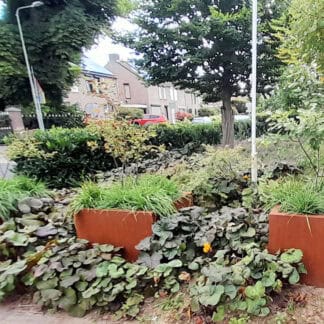 Plantenbak vierkant cortenstaal