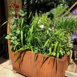 Plantenbak Cortenstaal 1205060