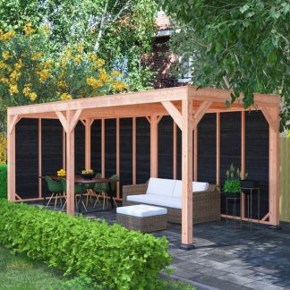 Overkapping van douglas hout 650x250 met wanden