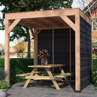 Overkapping met zwarte wanden Douglas 250x250