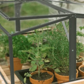 Broeikas Jumbo in groengrijs