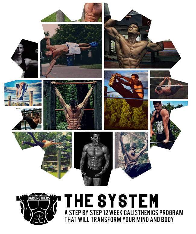 Barbrothers The System (12 weeks)