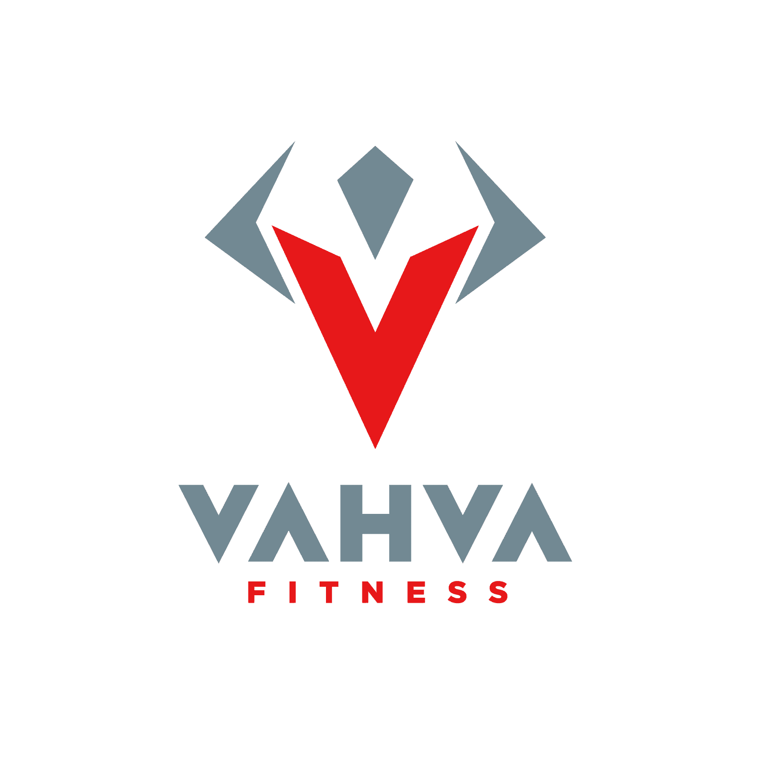 VAHVA Fitness Warrior 20XX Method