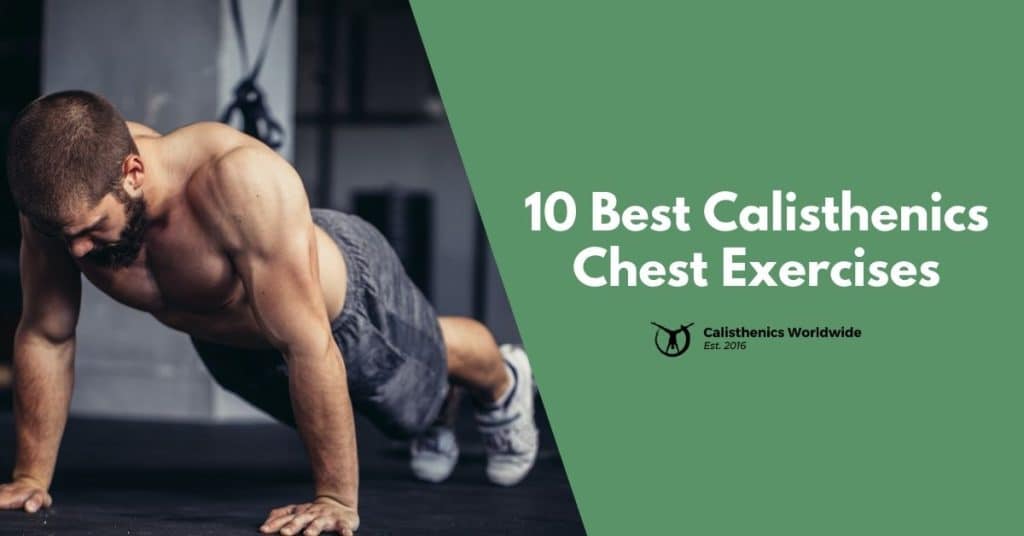 Best calisthenics chest exercises sale