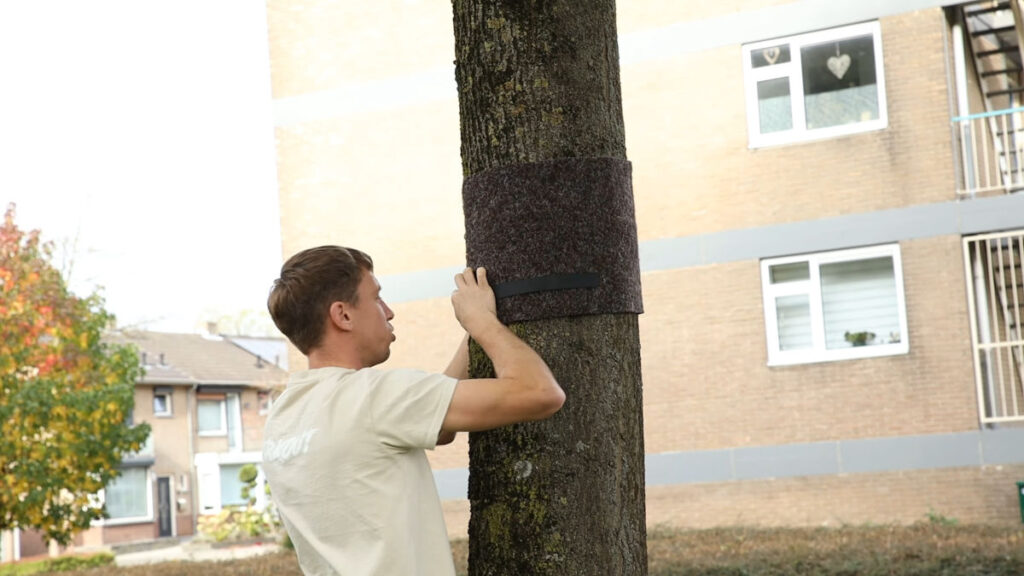 Man in white shirt applying the protective wrap for the Pullup and Dip Bar around a trees prior to mounting the bar itself.