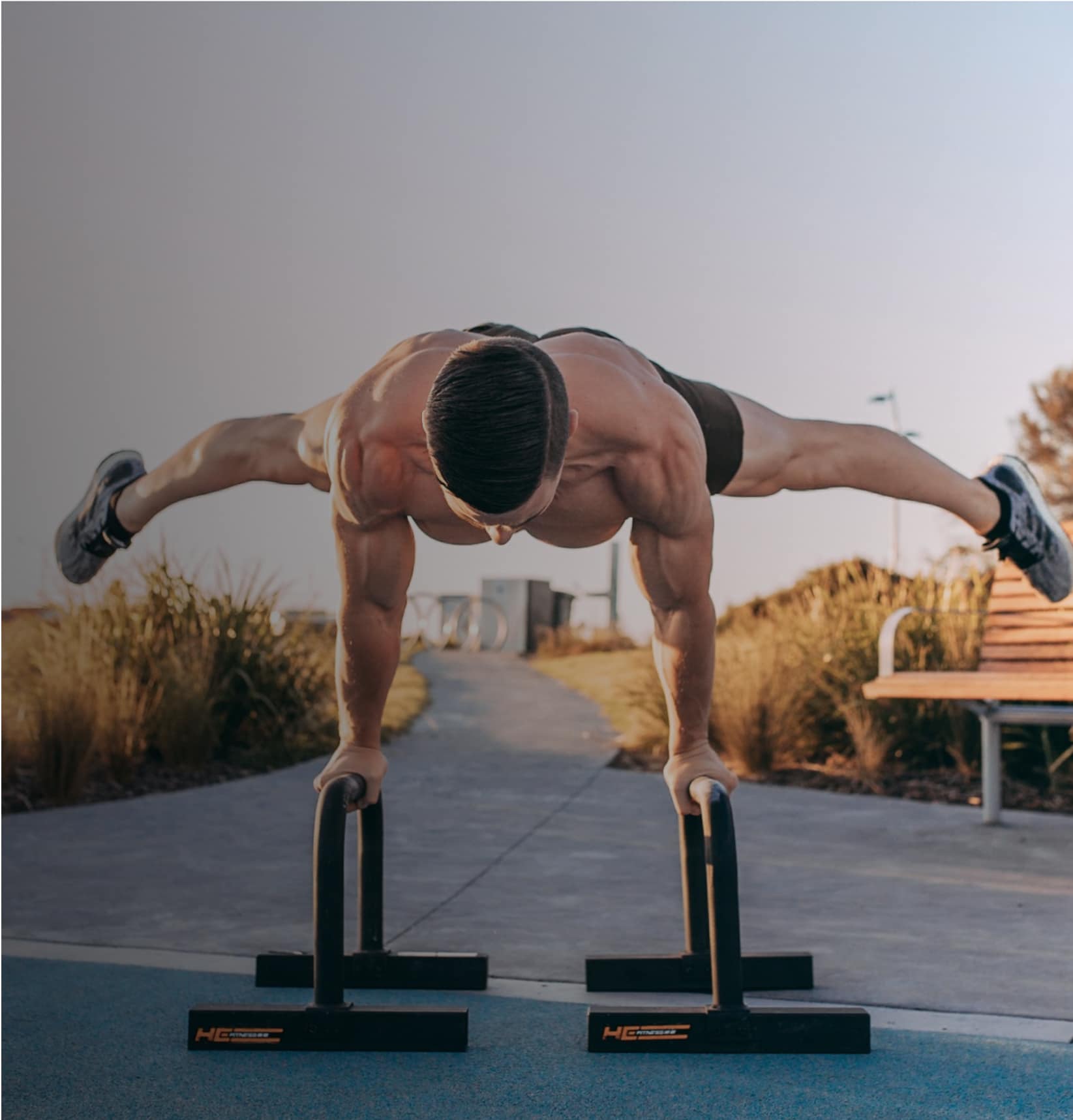 Planche Pro - FitnessFAQs