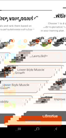 Die Ringe app screenshot showing you can set your desired skills in the beginning.