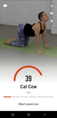 Die Ringe app cat cowl exercise interface.