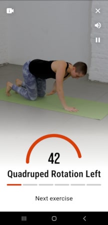 Die Ringe app typical warm up routine doing quadruped rotations on the left hand.