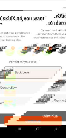 Die Ringe app asking which skills you'd like to learn during the initial setup.