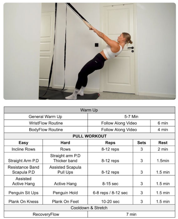 A list with pull exercises for a workout day as part of the True Beginner Program of the Calixpert program.