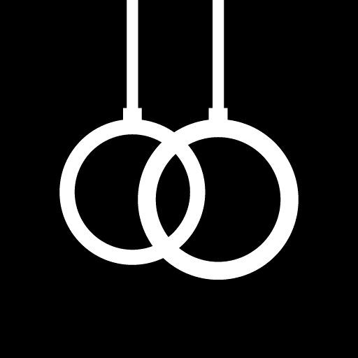 DIE RINGE Gymnastic Rings Calisthenics App