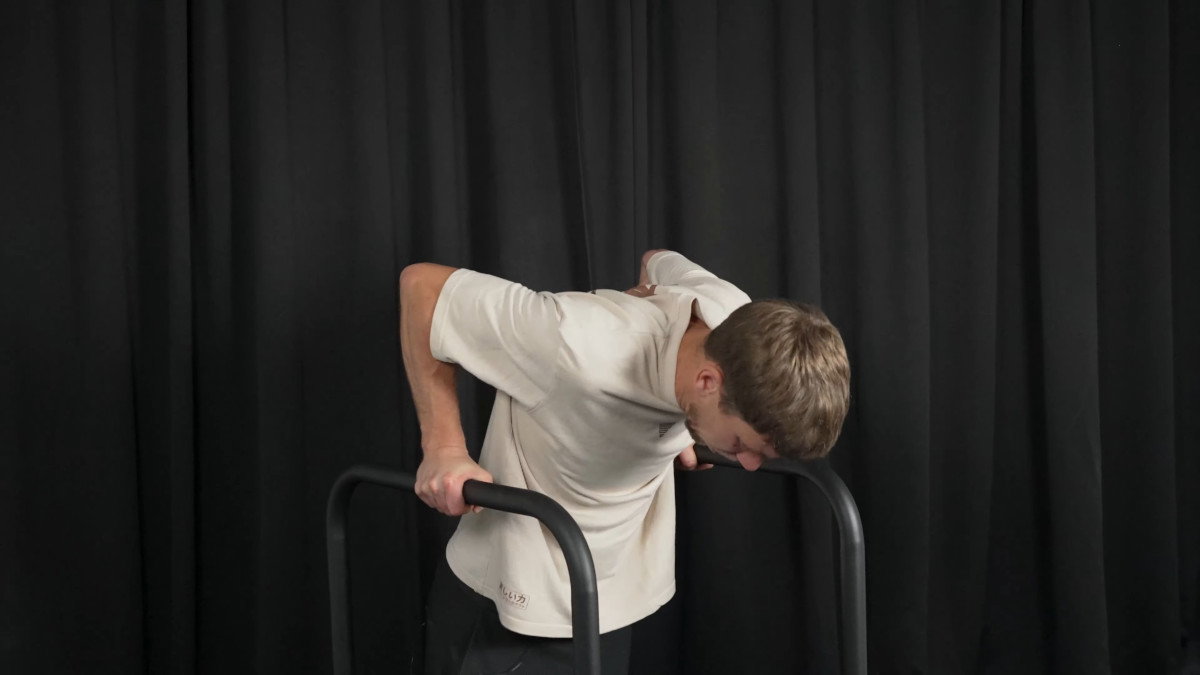 Man in white shirt performing dips on the eric flag dip bars.