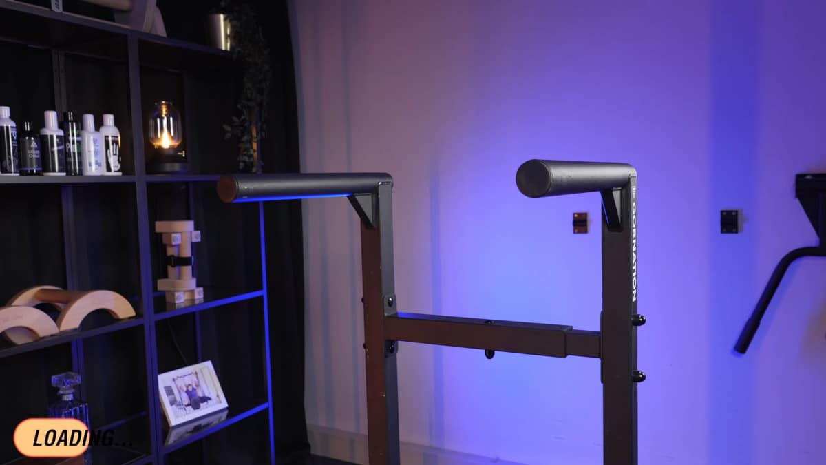 Premium Dip Station for Weighted Dips | GORNATION