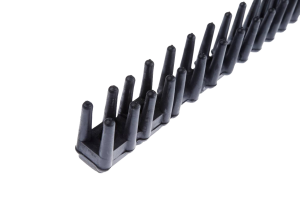 Image for choice number 2