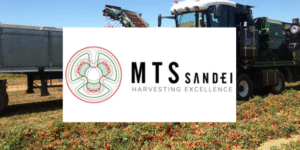 Logotipo de MTS Sandei, fabricante de cosechadoras de tomate, mostrado sobre un campo con una máquina verde en funcionamiento.