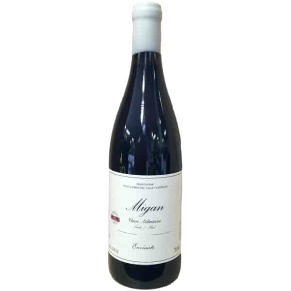 Envinate Migan Tinto 2022