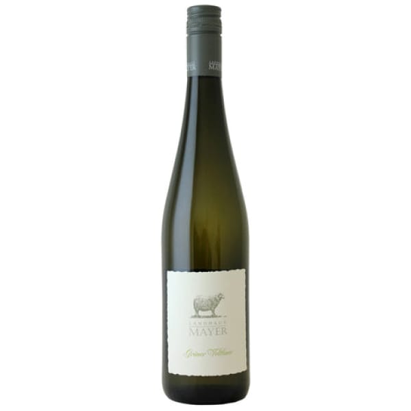 Grüner Veltliner Niederösterreich 2022 - 75CL - 12,5% Vol.