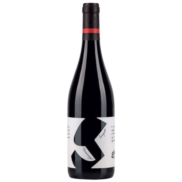 Zweigelt Dornenvogel 2019 - Weingut Glatzer - 75CL - 13,5% Vol.