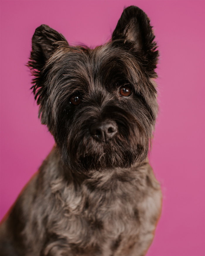 Aboe | Hofmans Letselschade