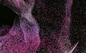 Bekijk onze pakketten!