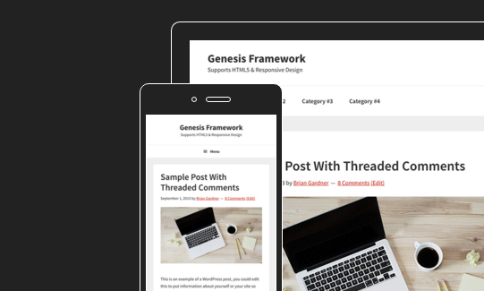 Genesis site problemen met WordPress 4.x of WP Views/types
