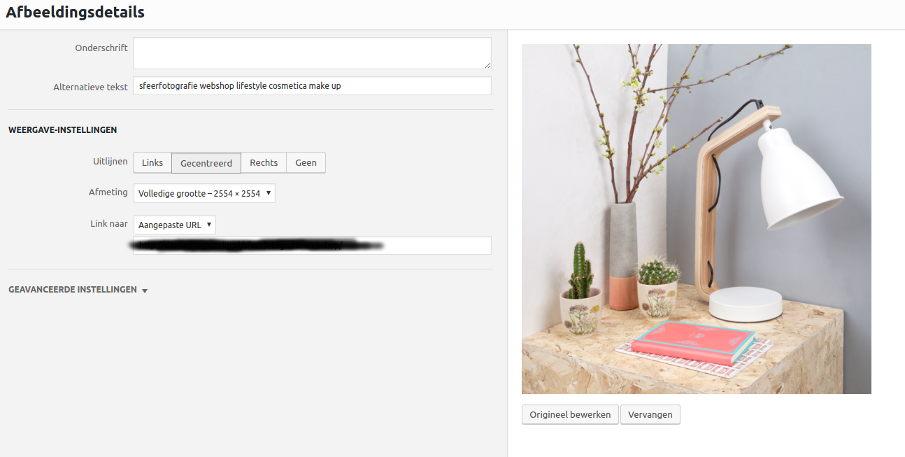 Makkelijk je WordPress laadtijd versnellen door plaatjes kleiner te maken zonder te moeten programmeren