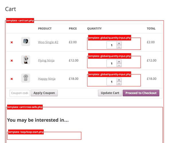 Makkelijk zien welke template file gebruikt wordt in je site en WooCommerce shop