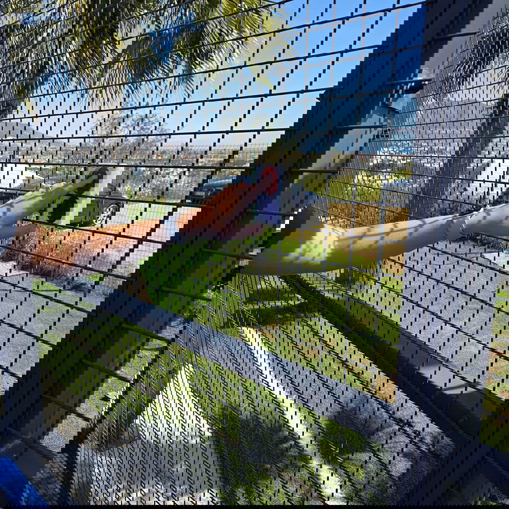 Remote Clip Fence action