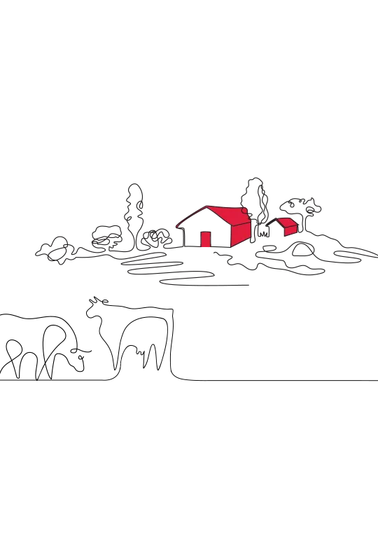 An illustration of a house, land and trees, with two cows in the foreground