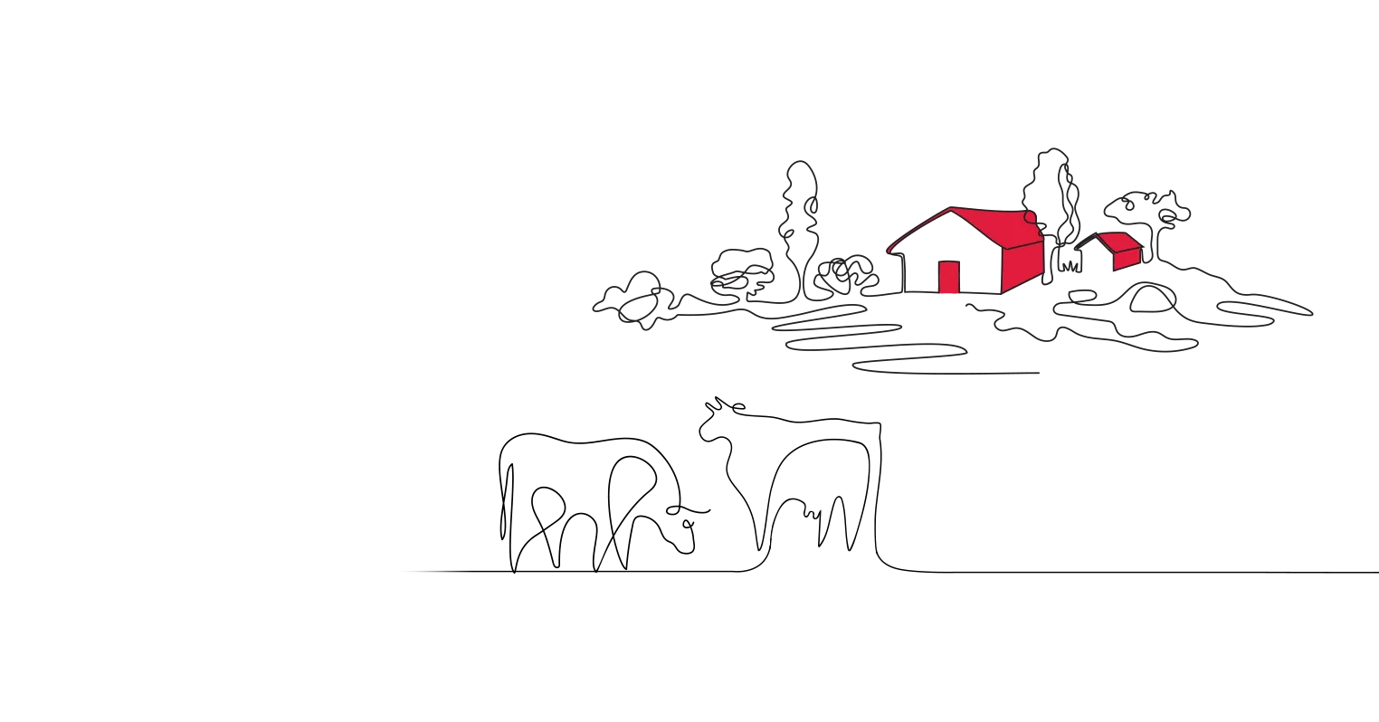 An illustration of a house, land and trees, with two cows in the foreground