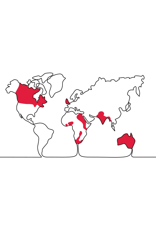 An illustration of a map of the globe with various countries highlighted in red