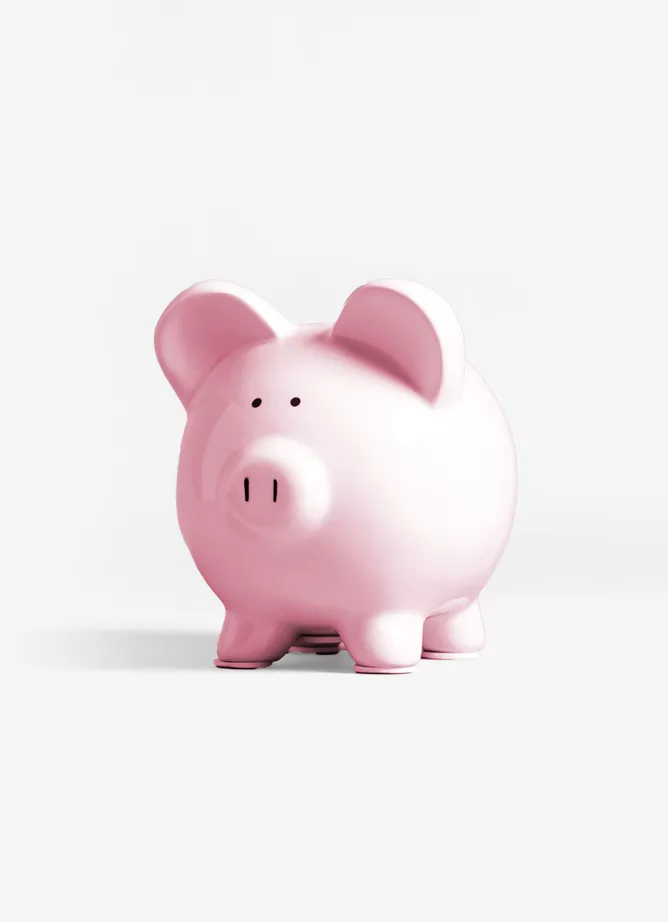 A pink pig moneybank