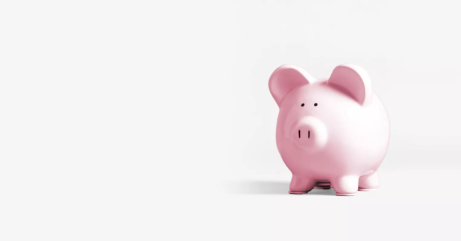 A pink pig moneybank