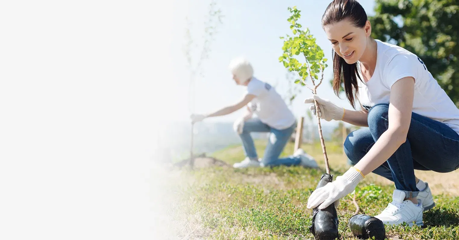 A woman helping the environment by planting a tree sapling