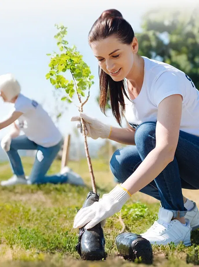 A woman helping the environment by planting a tree sapling