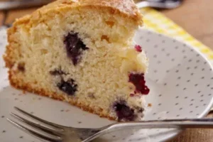 Blauwe bessencake vegan