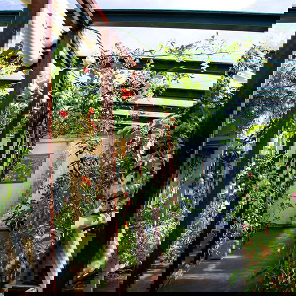 Lokale ingredienten want groenten en kruiden uit de omvangrijke kassen van Cafe de Ceuvel