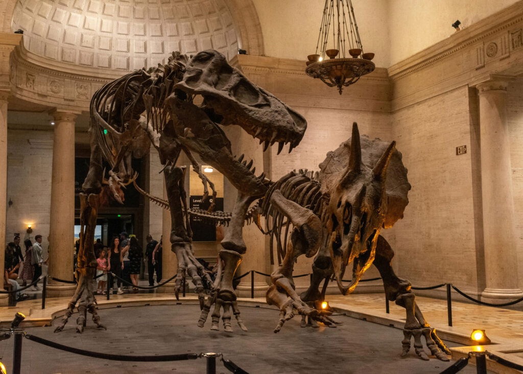 Oertijd, dinosaurussen