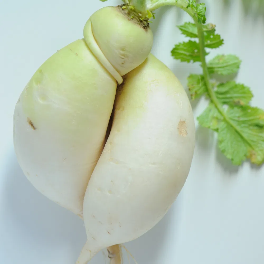 Voordelen voor jouw lijf vegetariers