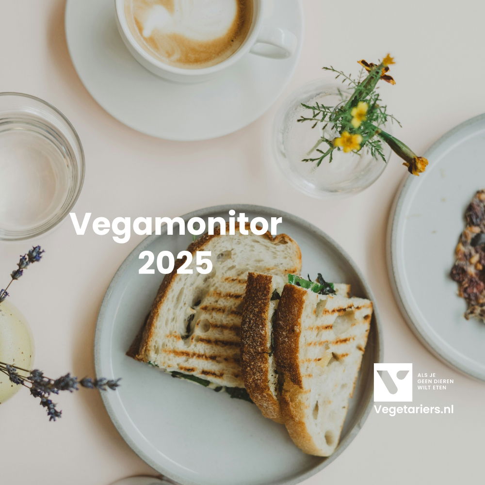 Vegamoitor 2025 verslag