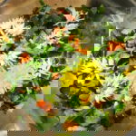 Ook eetbare bloemen in de raw food gerechten van The Alchemist Garden Amsterdam