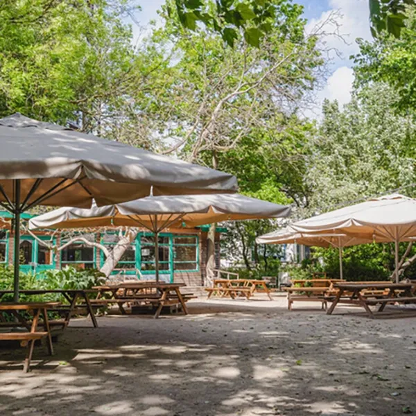 zonnig en toch beschut voor lunch of diner bij cafe restaurant tolhuistuin aan het IJ Amsterdam