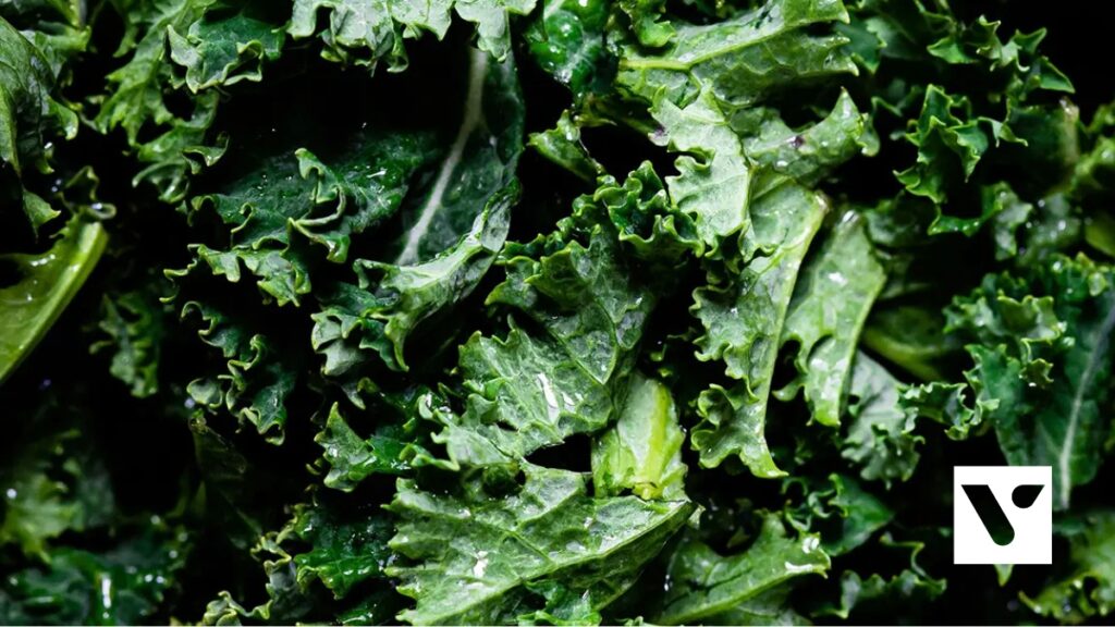 Nationale boerenkooldag Boerenkool