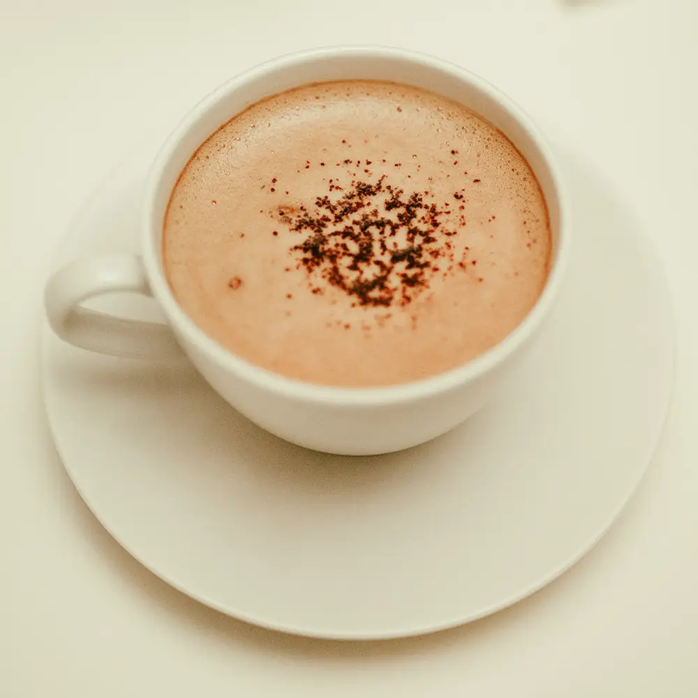 Warme chocolademelk met cacao