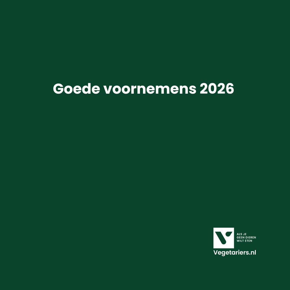 Nieuwjaar 2026