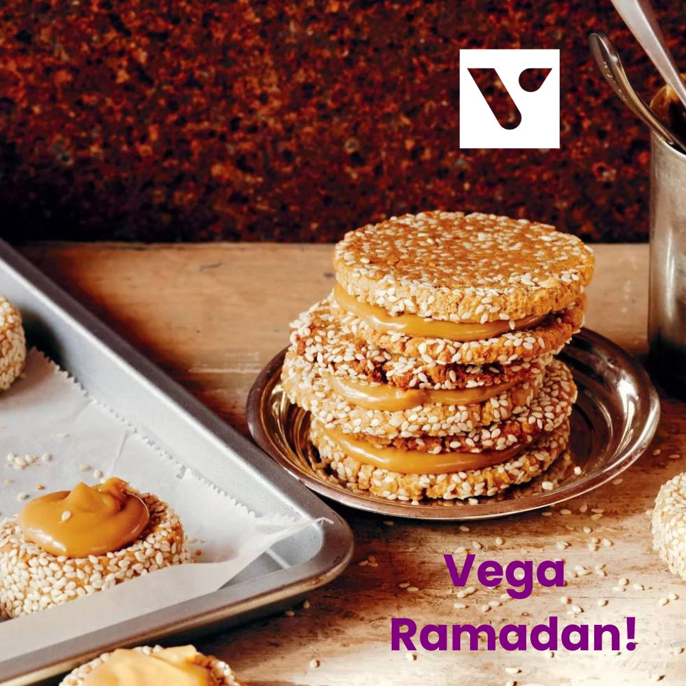 Vega Ramadan Vega Arabisch Toub
