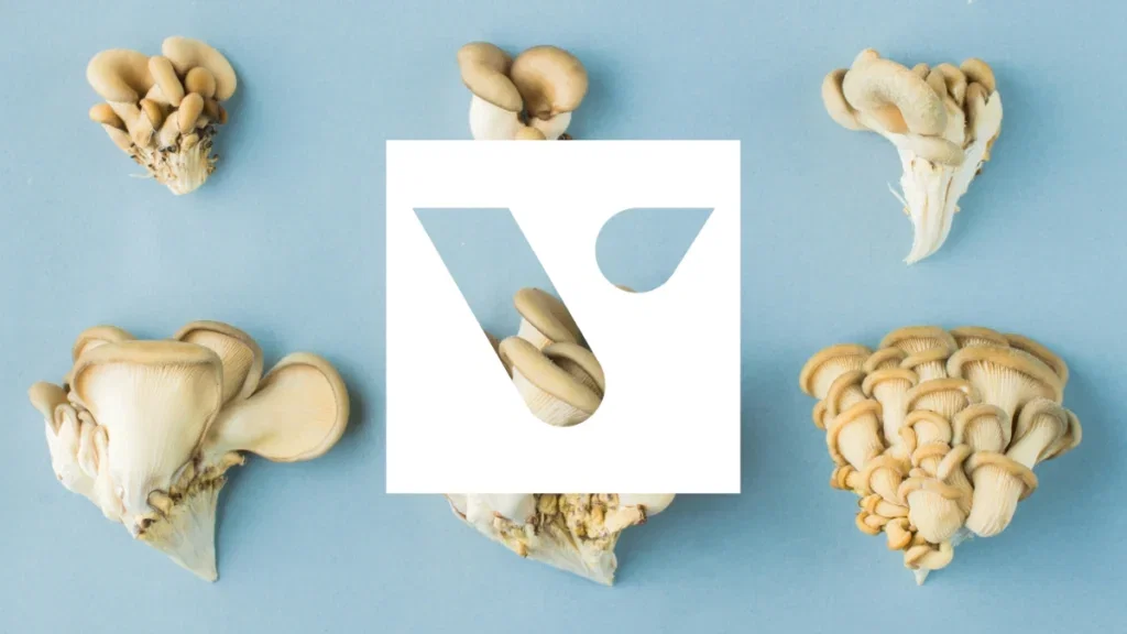 Vega voeding en botgezondheid