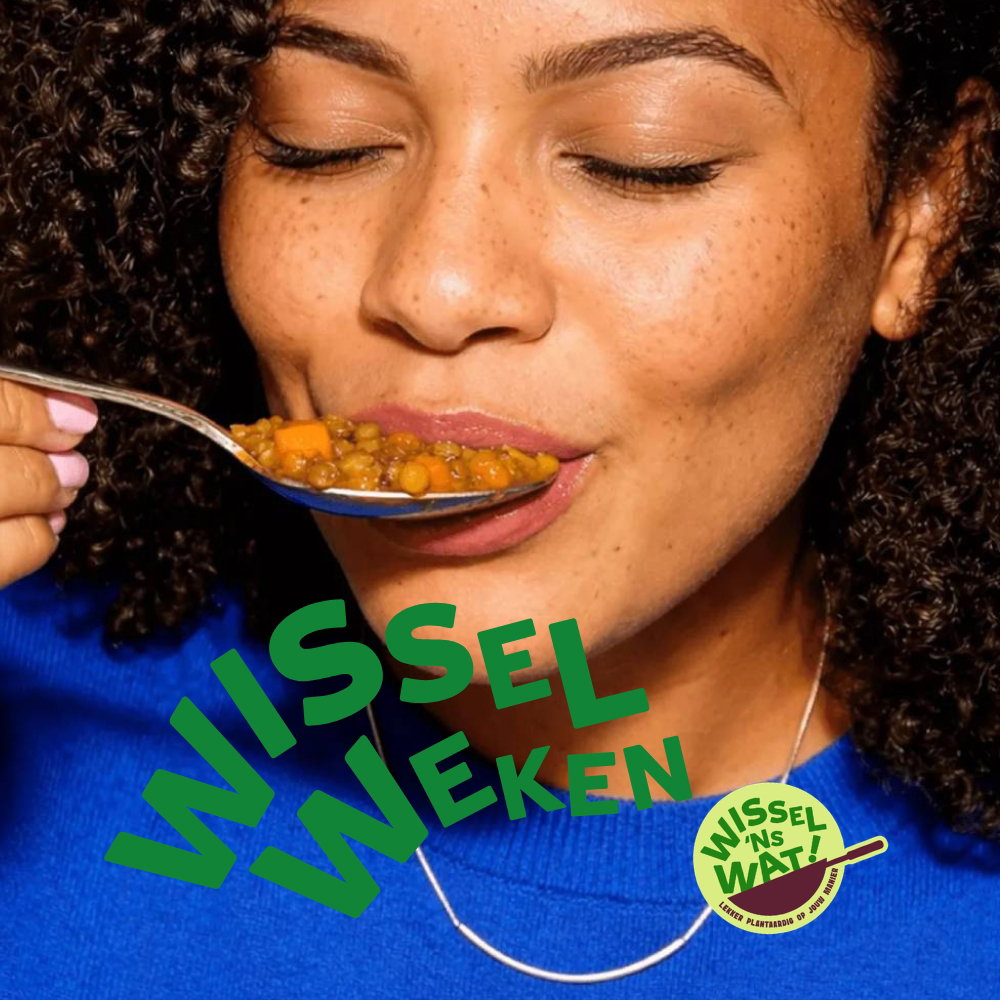 Wissel ns Wat doe mee